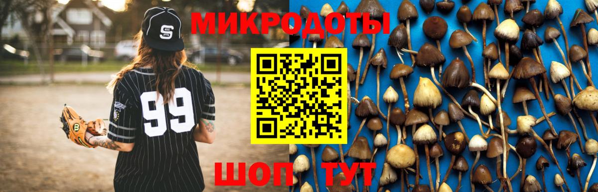 Псилоцибиновые грибы прущие грибы Дятьково