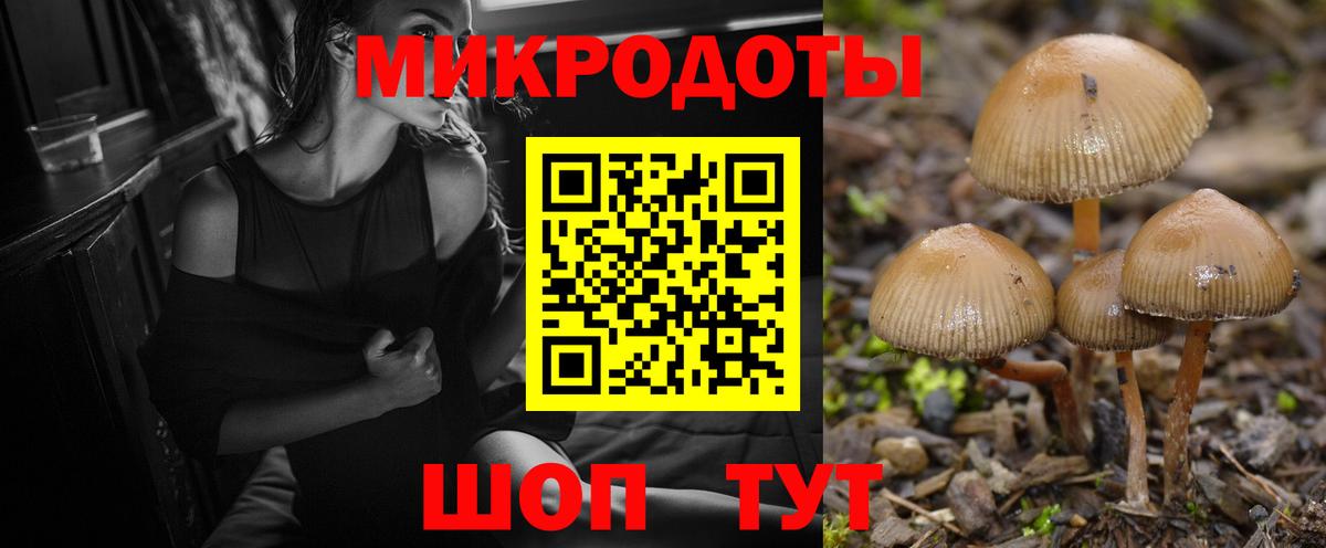Галлюциногенные грибы MAGIC MUSHROOMS  Вход с VPN  Дятьково  Галлюциногенные грибы мицелий 